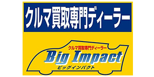 ビッグインパクト